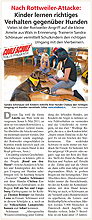 Artikel